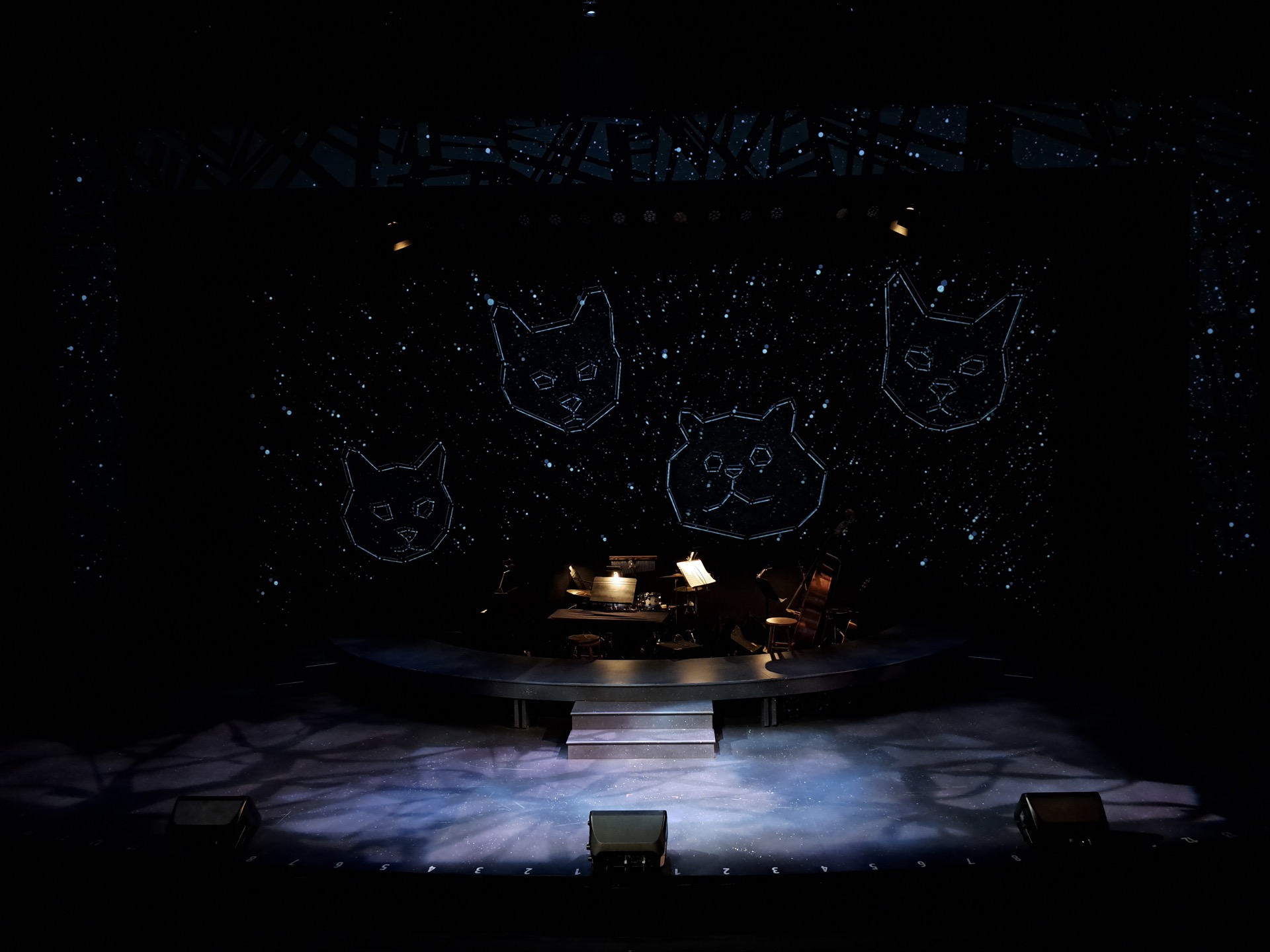 cats_proj